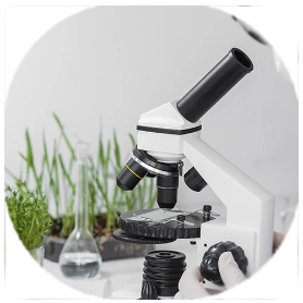 bio_element