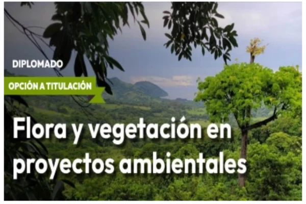 Flora y Vegetación en Proyectos Ambientales