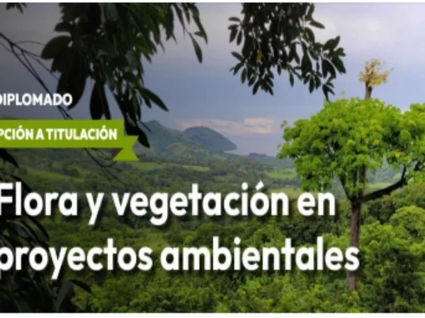 Flora y Vegetación en Proyectos Ambientales